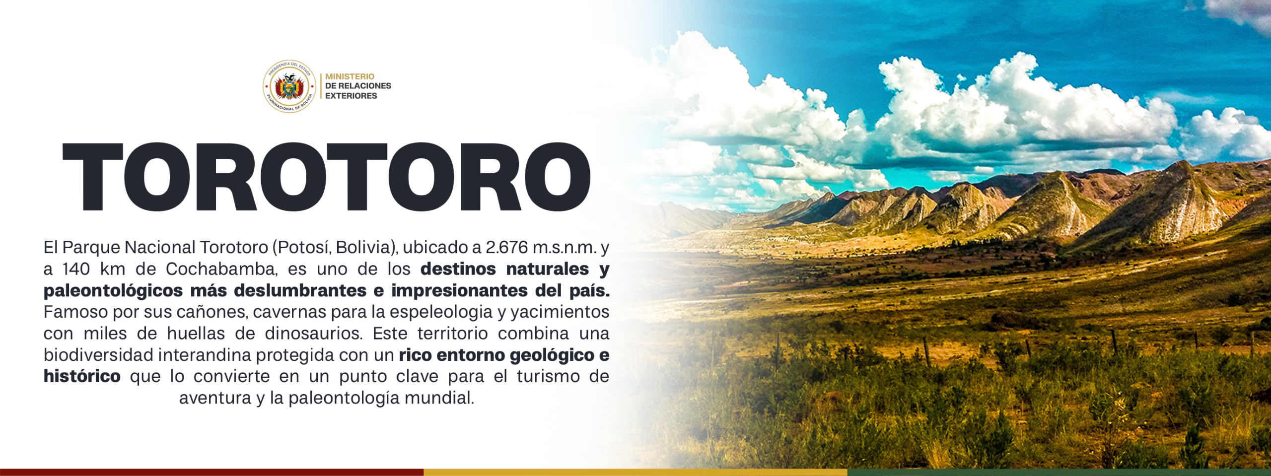 BANNER TOROTORO